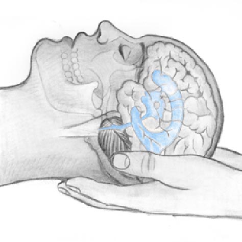 sistema cranio sacrale
